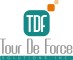 TDFソリューションズロゴ